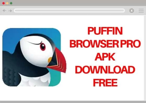 Puffin Browser Pro APK V7.8.1.40497 Updated Best For