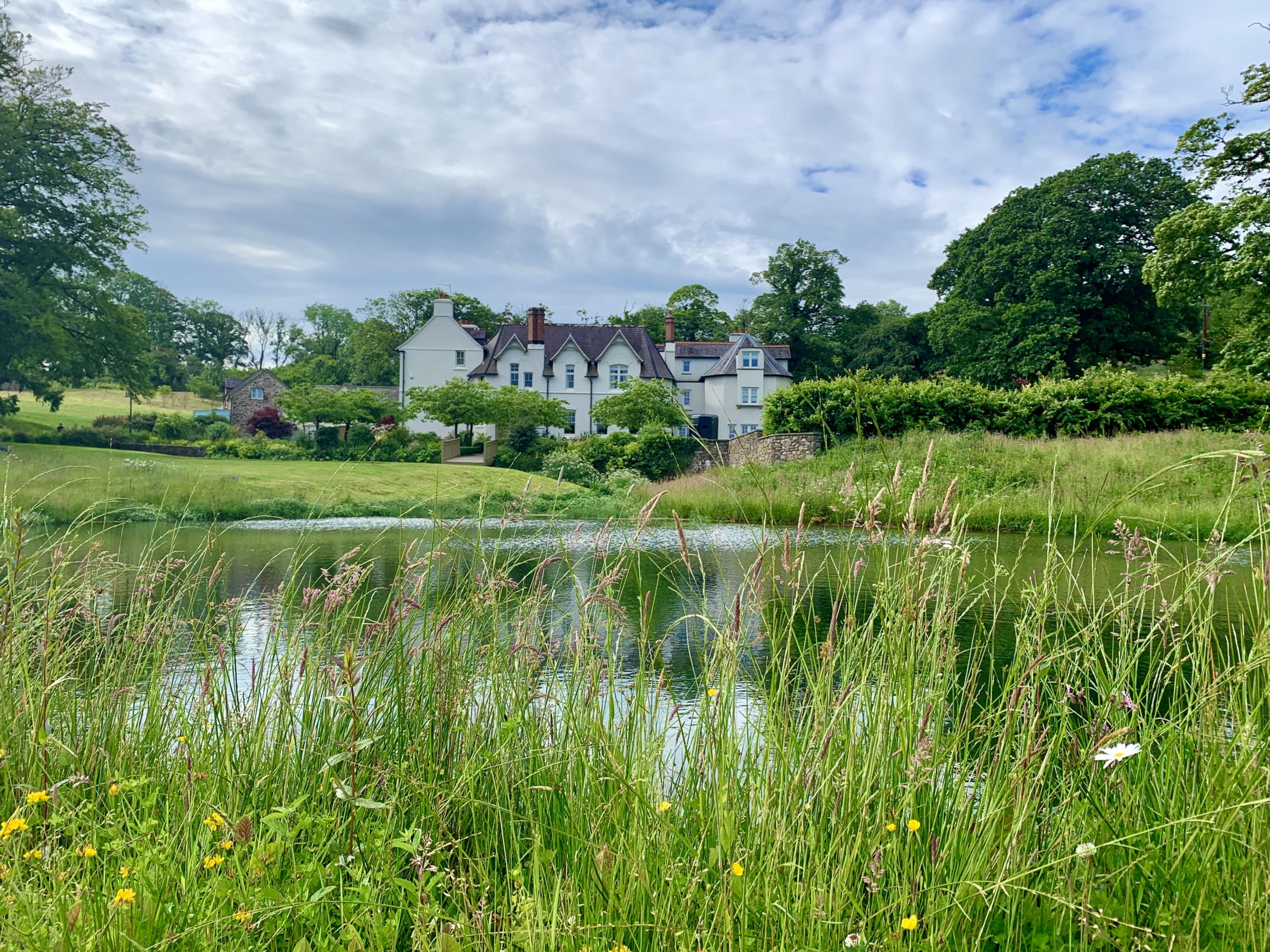 THE GROVE NARBERTH A SUSTAINABLE LUXURY HOTEL Belavie