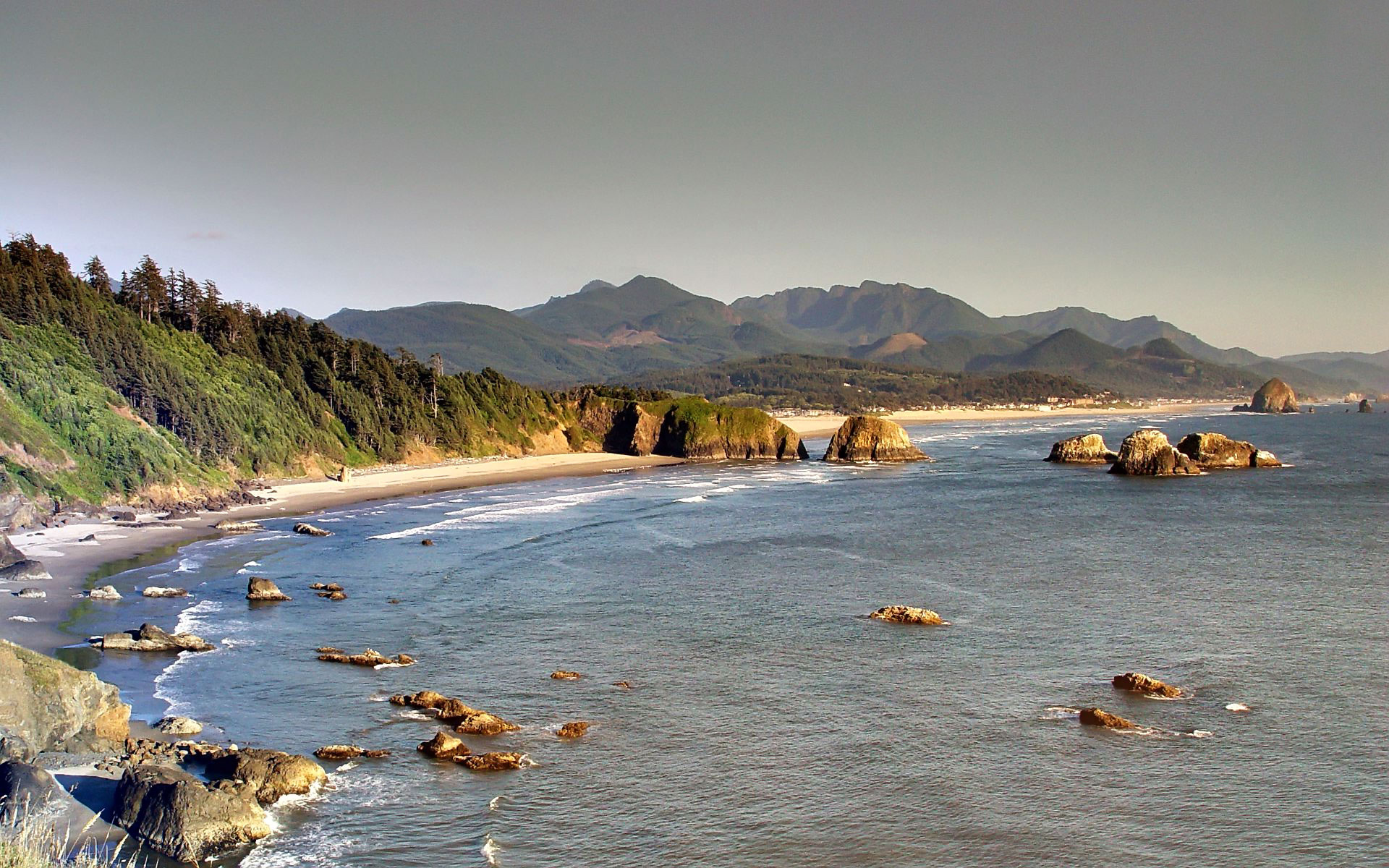 Green forest beach wallpaper Beach Wallpapers