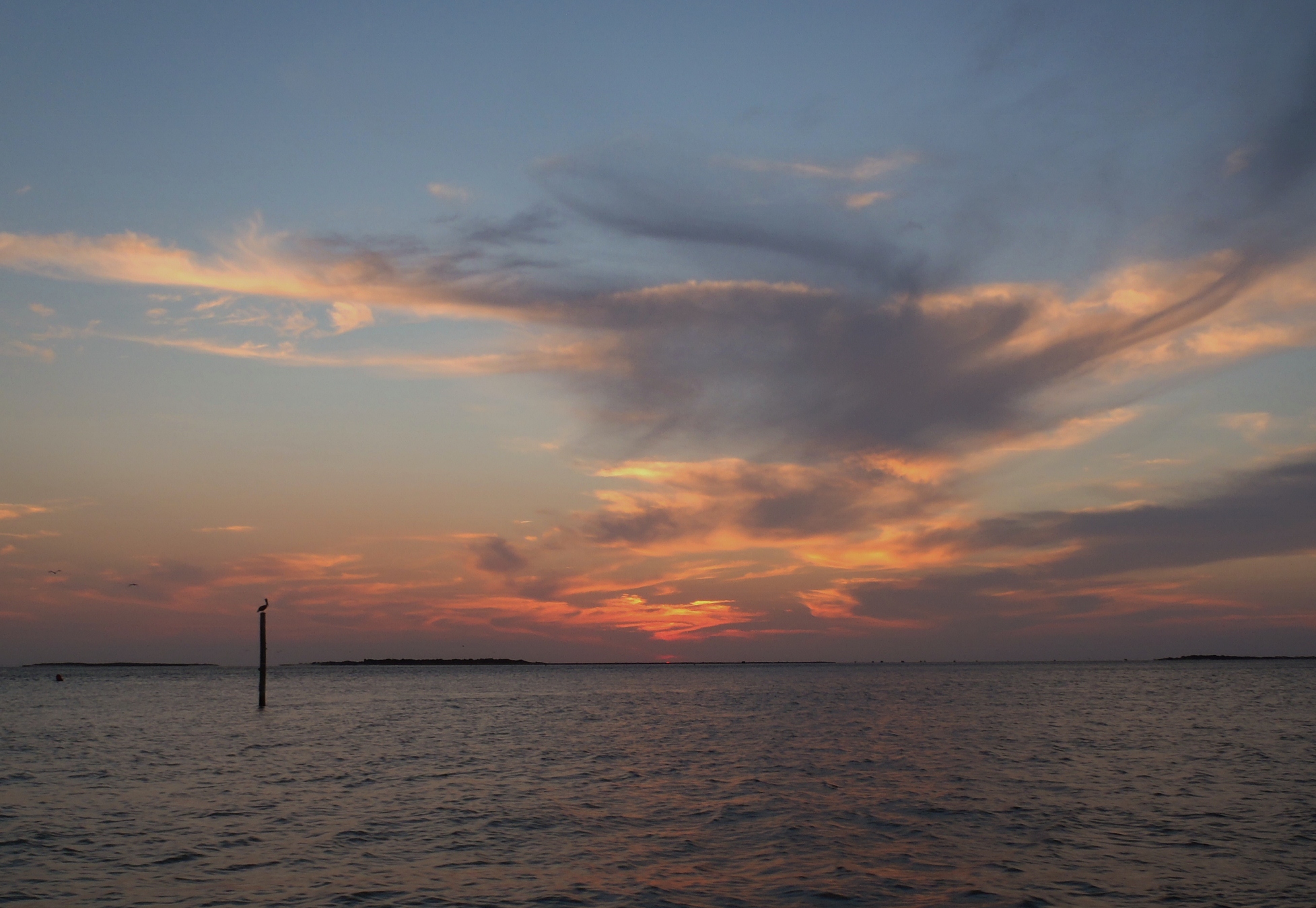 Beach Bum Fishing! Outer Banks North Carolina Fishing Report, NC