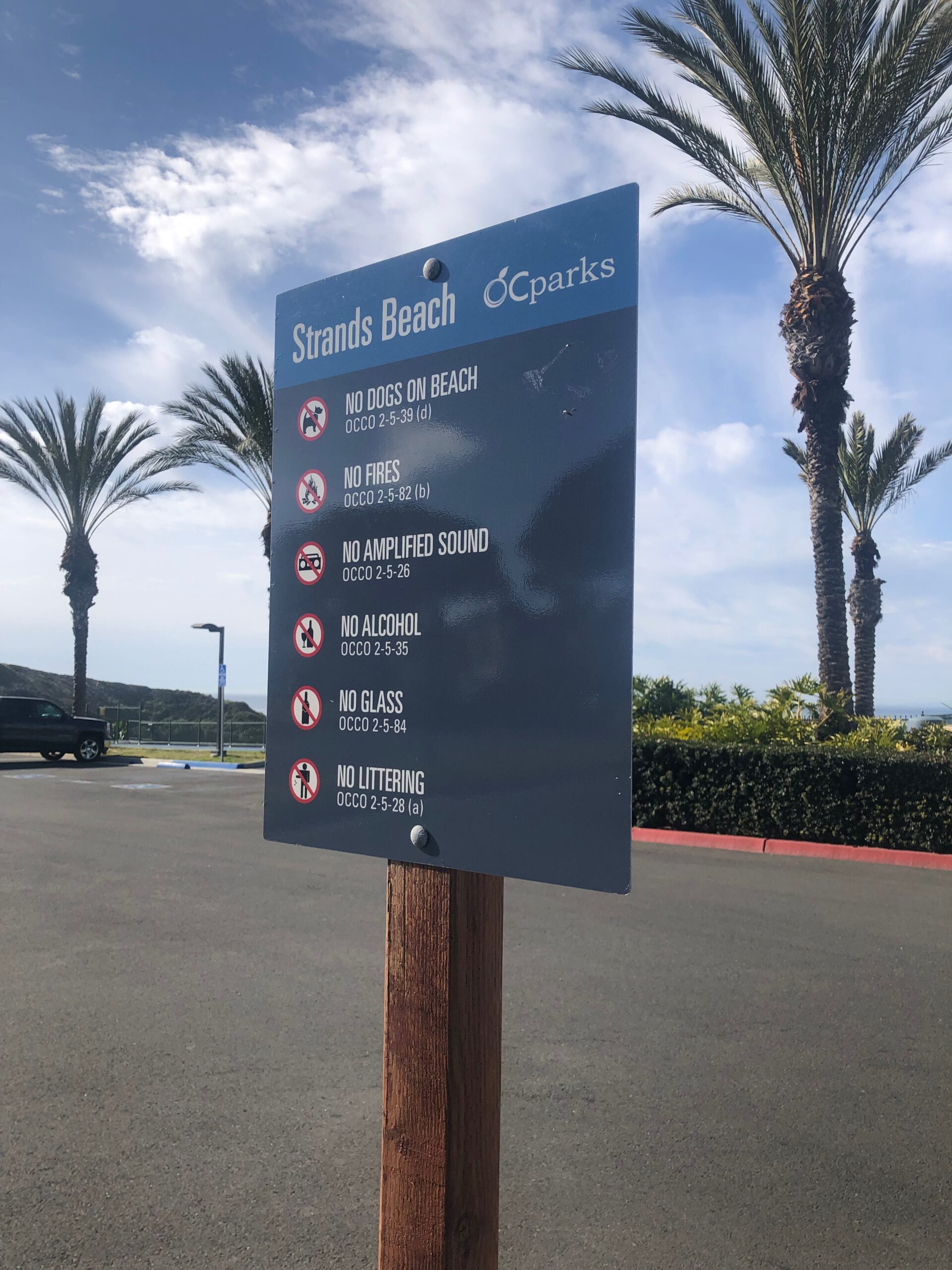Beach Rules and Safety Beaches of Orange County