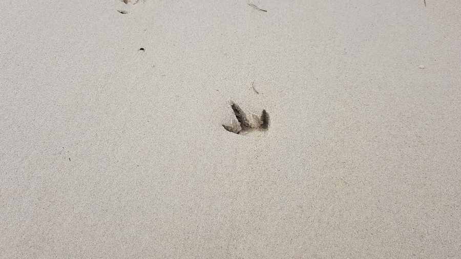 How Sand Is Made? From Beach Sands To The Deserts