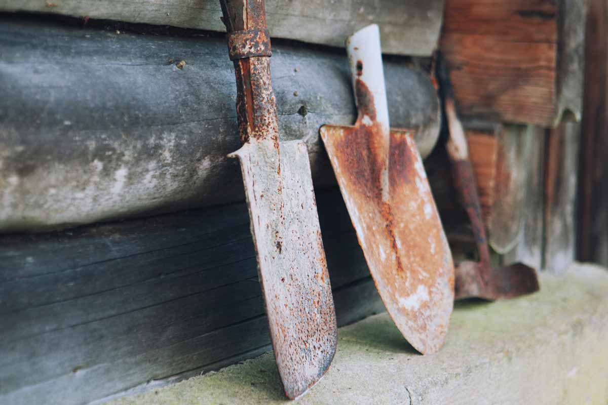 How to Clean and Remove Rust from Garden Tools? Beadnova
