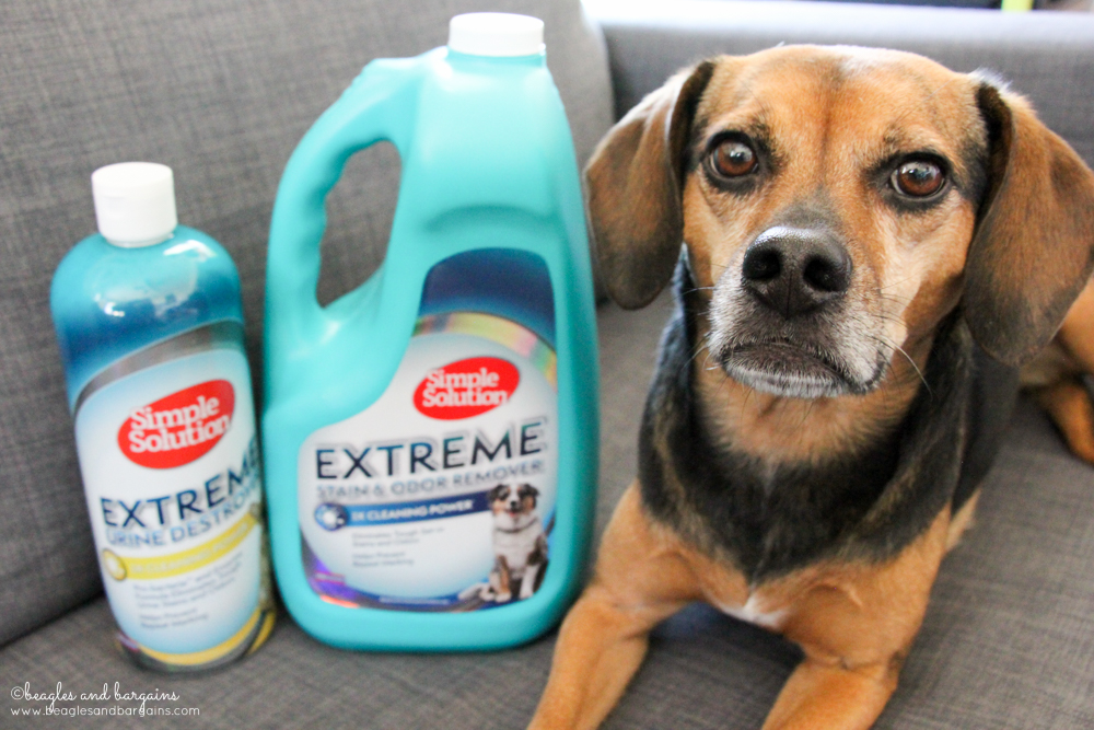 Start Your Spring Cleaning with Simple Solution Now Available at