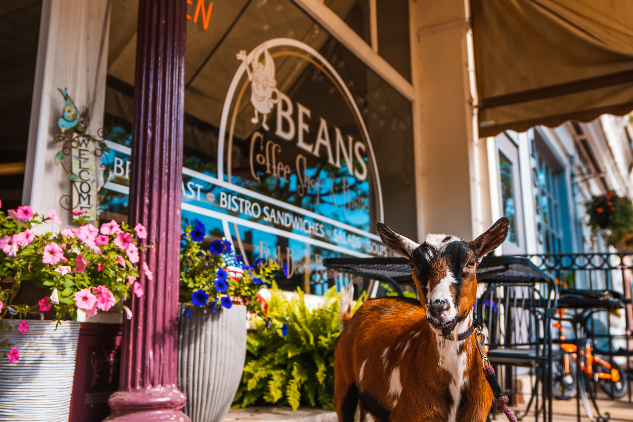 Gallery Beans Coffee Shop & Bistro