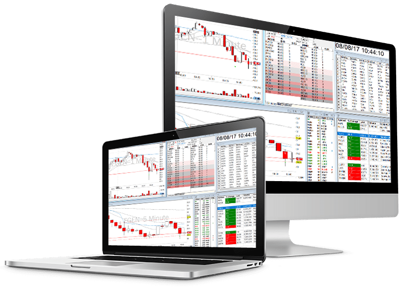 Simulator Bear Bull Traders
