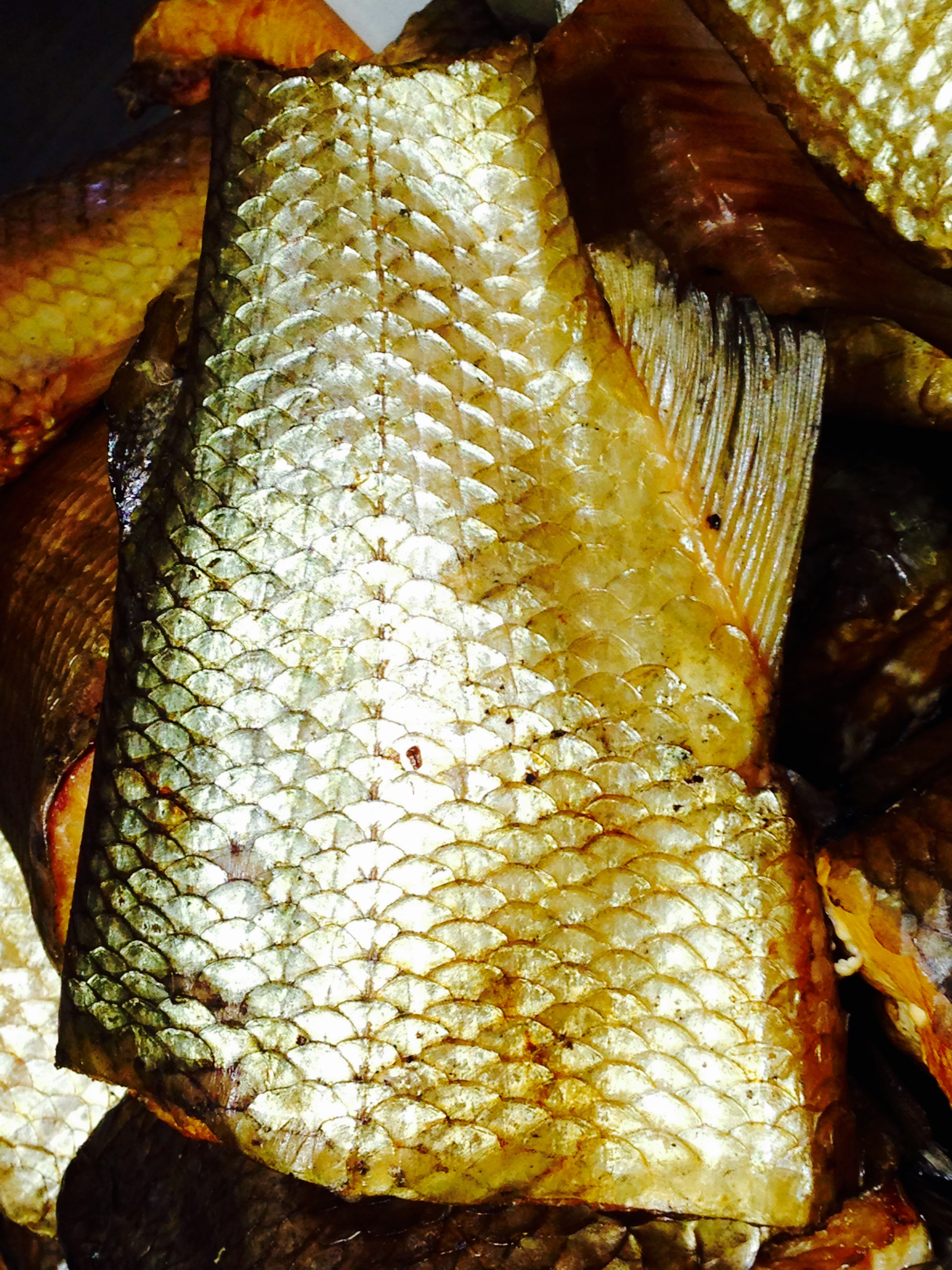 Smoked Lake Michigan Whitefish Steaks Bearcat's Fish House