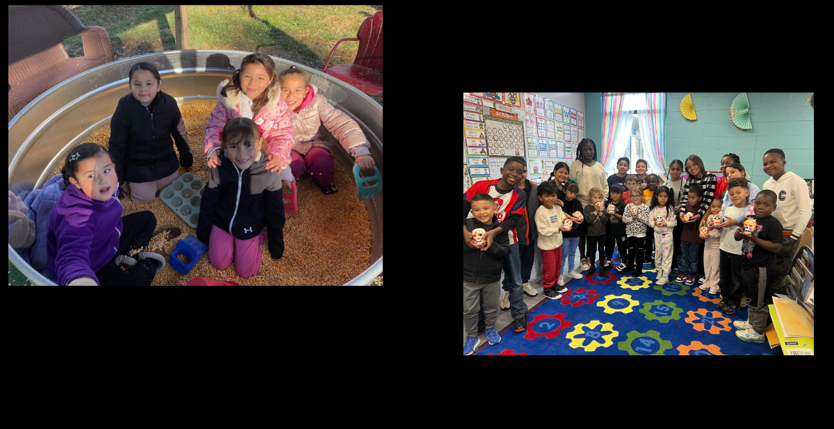 Beardstown CUSD 15 DistrictEmployment Opportunities