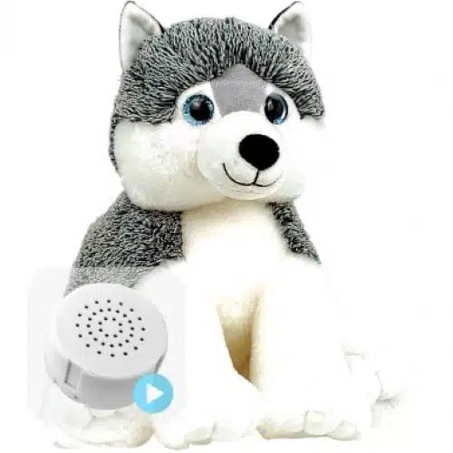 Husky Voice Recording Teddy Personalised Message Teddy Bears