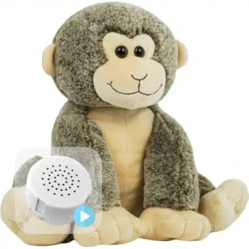 Voice Recording Monkey Teddy Personalised Message Bears