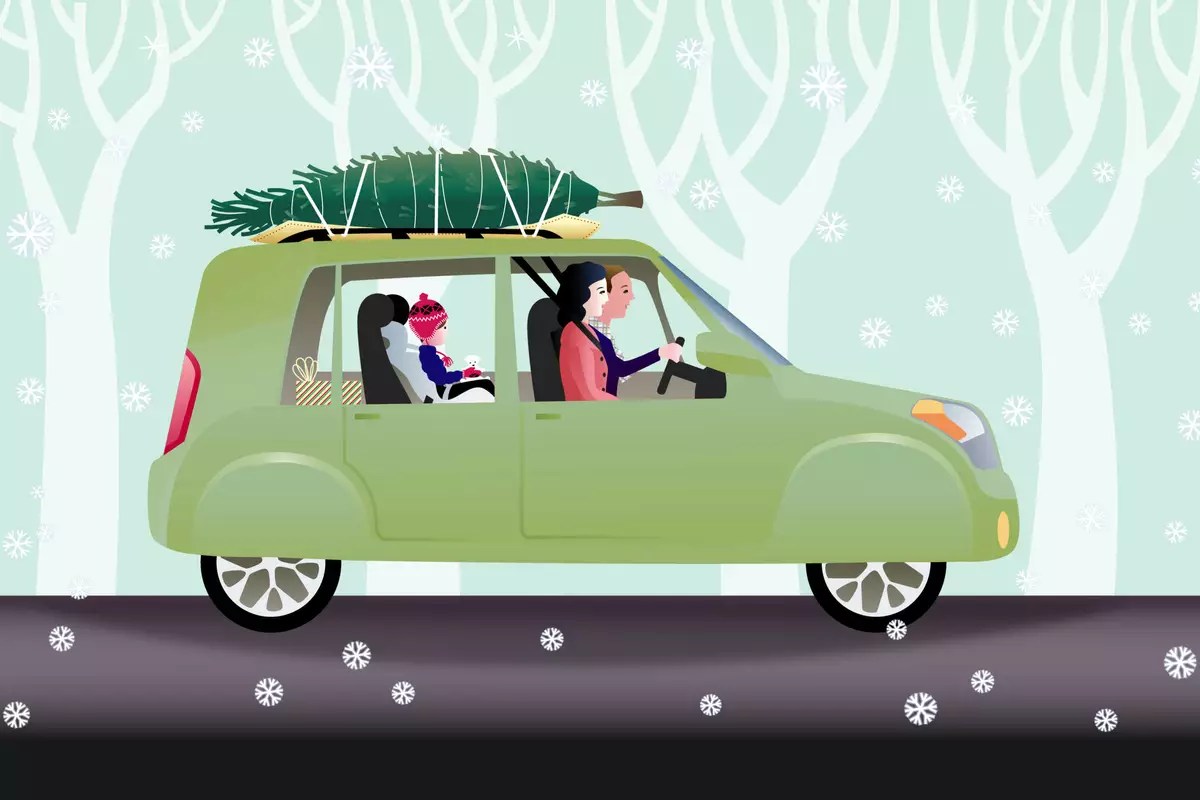 9 Tips for Transporting a Real Christmas Tree Without a Hitch Bear Share