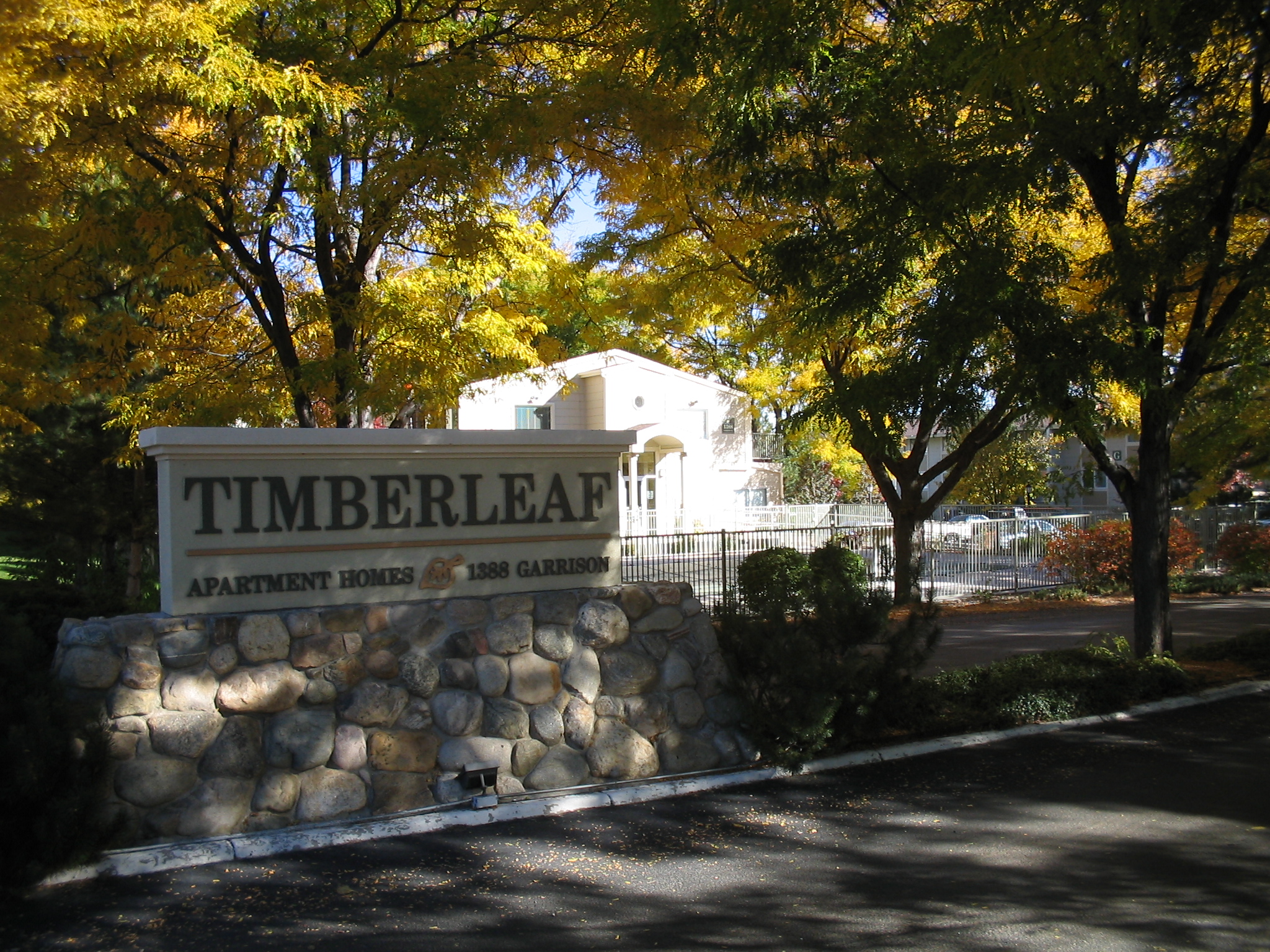 Timberleaf