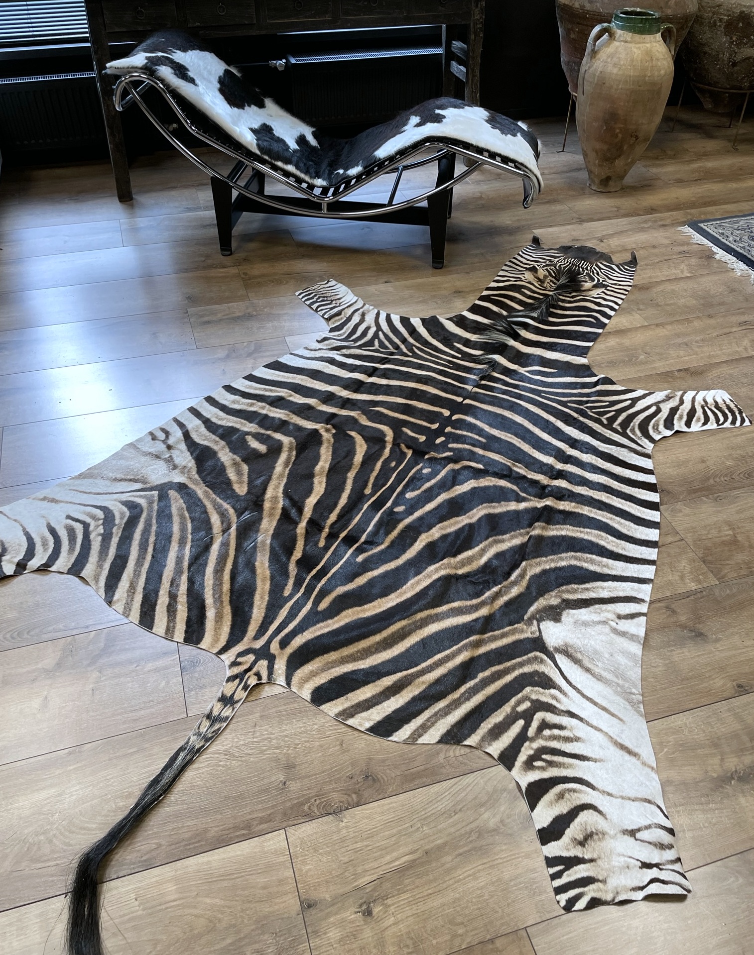 Zebra hide BEAST Interiors