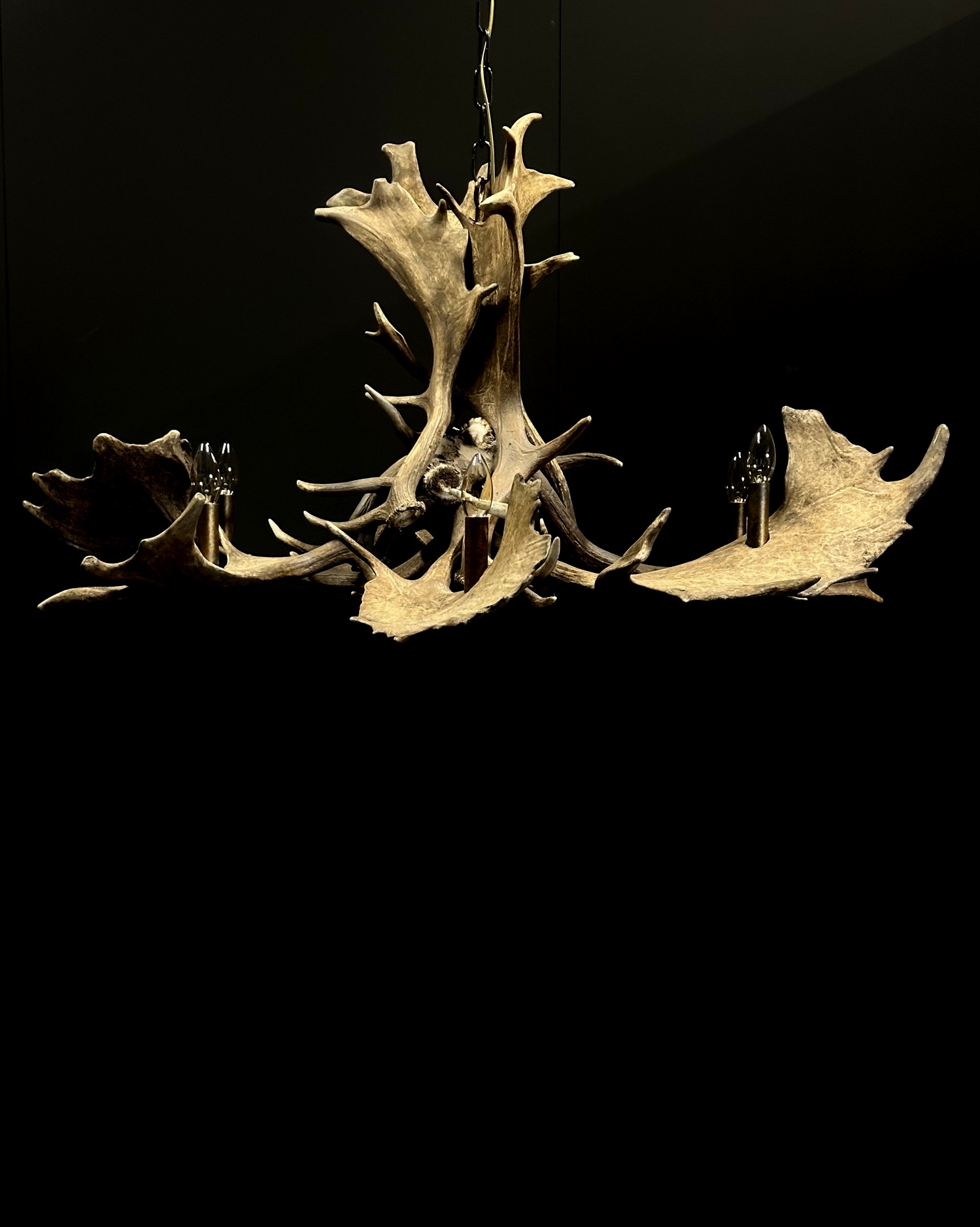 Antler chandelier made of fallow deer antlers BEAST Interiors