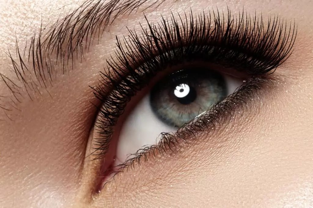 How to Make Mink Lashes The Perfect Guide for Beginners BeastBeauty