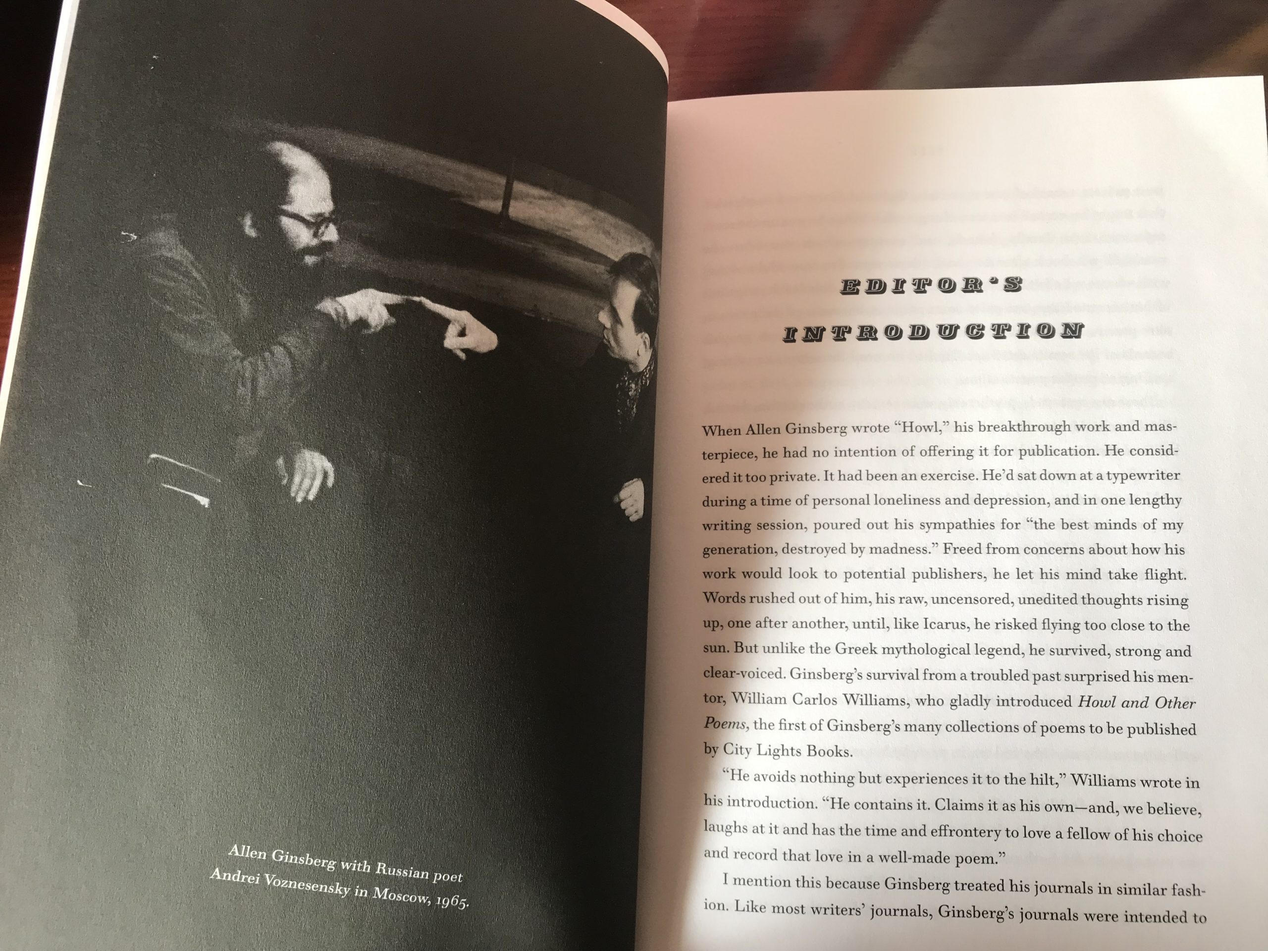 Ginsberg's Iron Curtain Journals