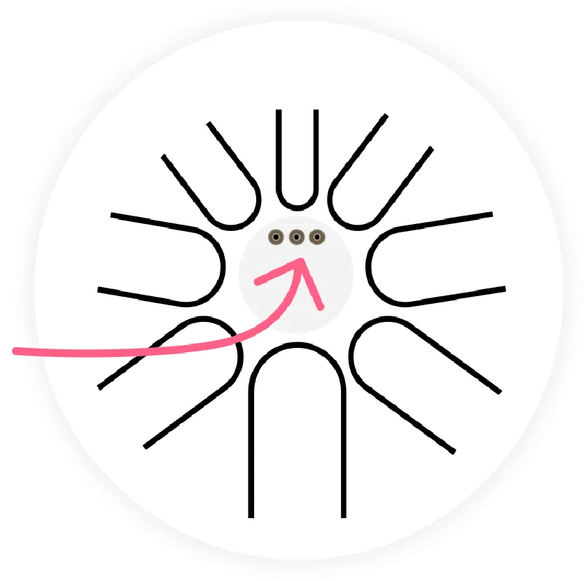 MultiScale tongue drum How to change the scale Beat Root