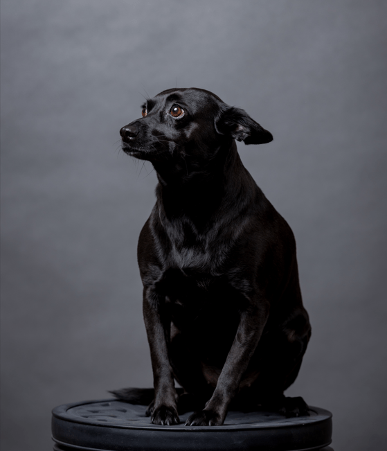 Raven GalindoHolliday Beau Box Commercial Real Estate