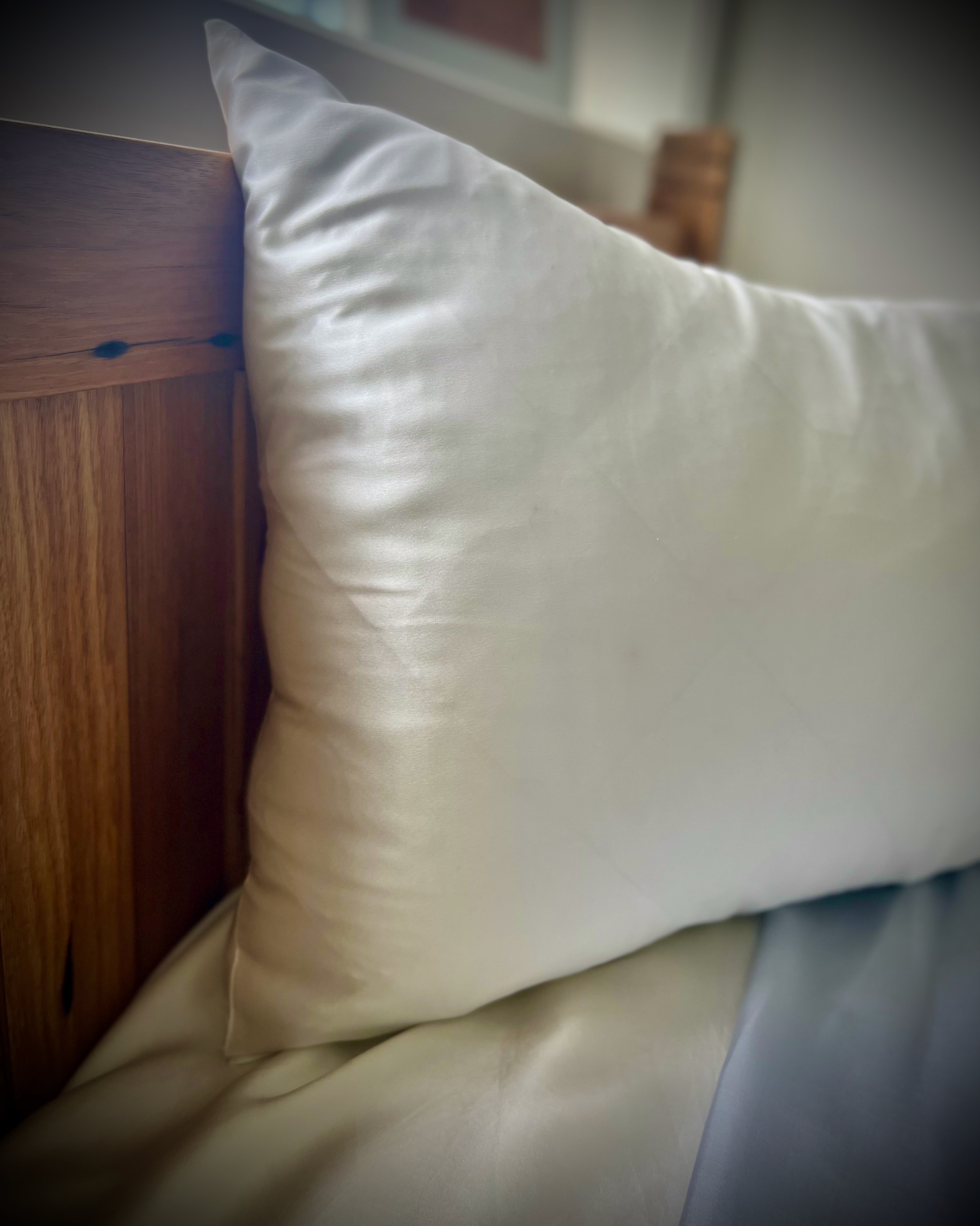 Luxury Silk Satin Pillow Case SPC Beautiful Silks