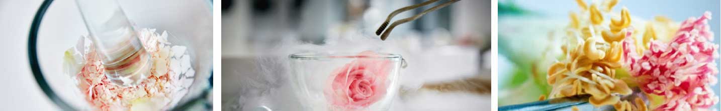 Dior Prestige La Crème Texture Riche News BeautyAlmanac