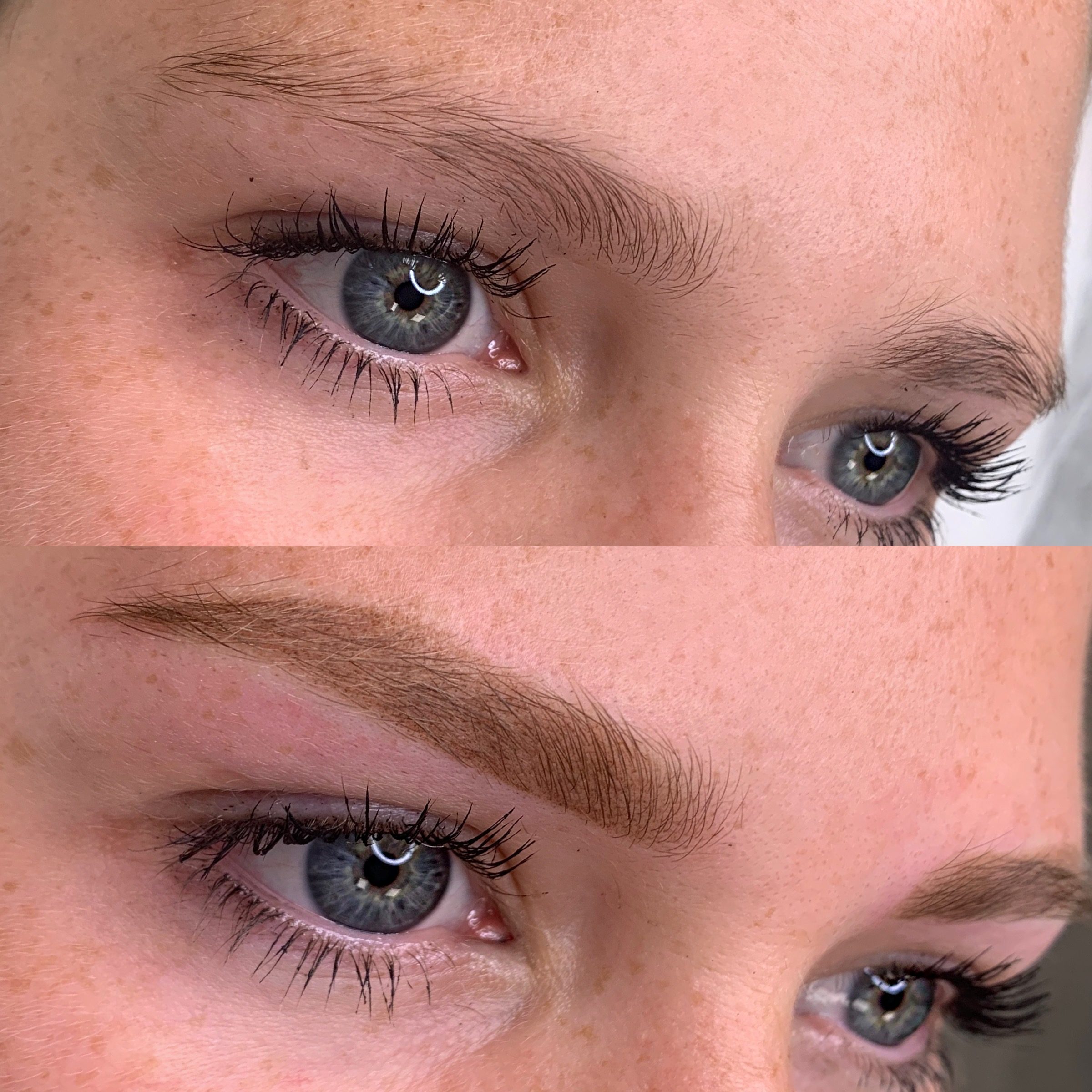 Powder Brows Beauty Royal