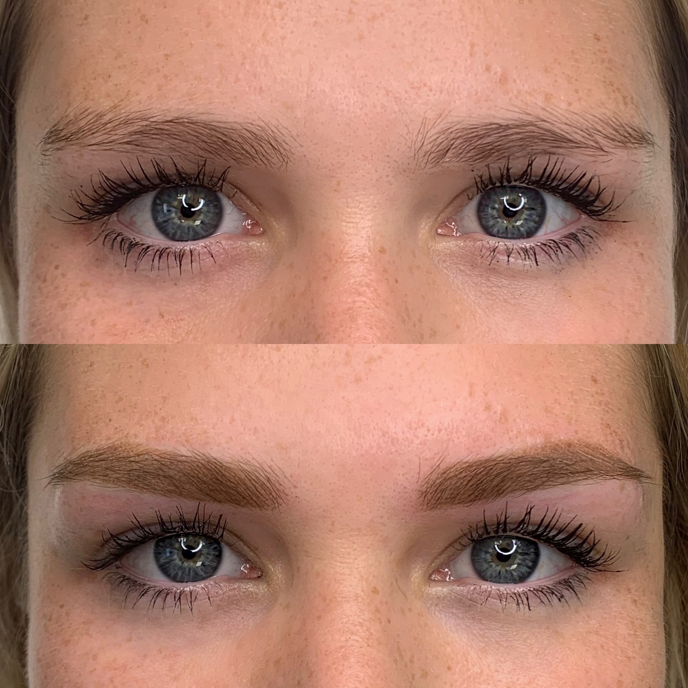 Powder Brows Beauty Royal