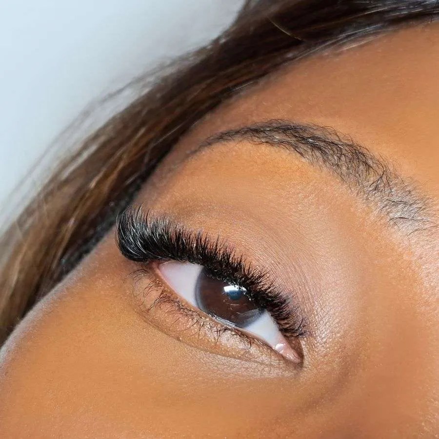 Lash Mites On Your Extensions What You Need To Know About These Bugs