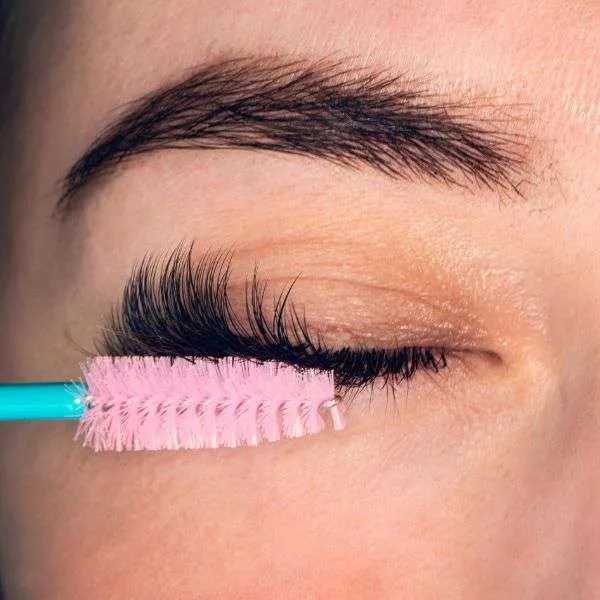 Lash Mites On Your Extensions What You Need To Know About These Bugs
