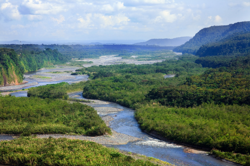 Harvesting in the Amazon Beauty Through Balance