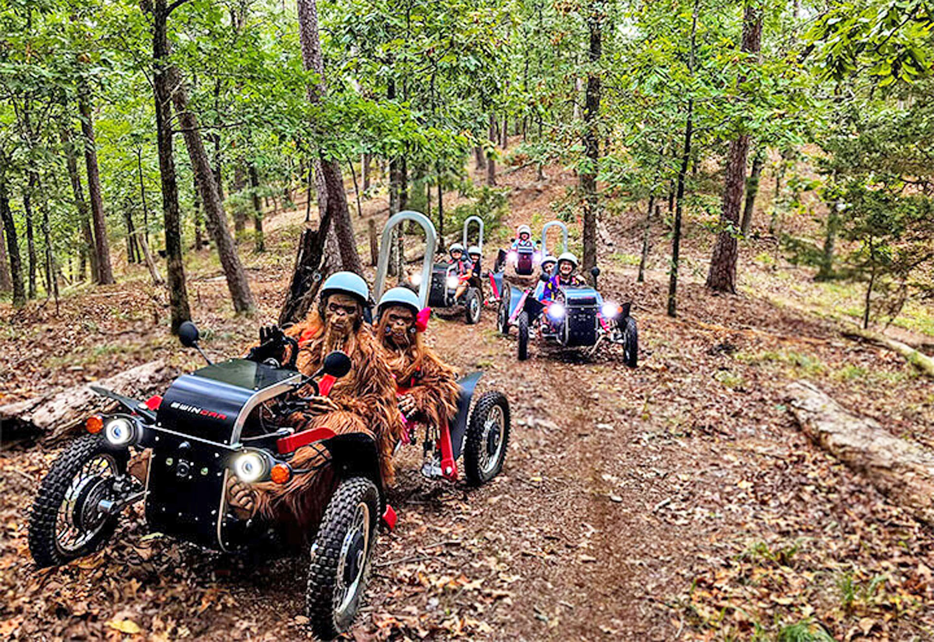 Outdoor Activities in Beavers Bend State Park, Hochatown area and