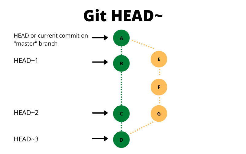 What is Git HEAD? A Practical Guide Explained with Examples A