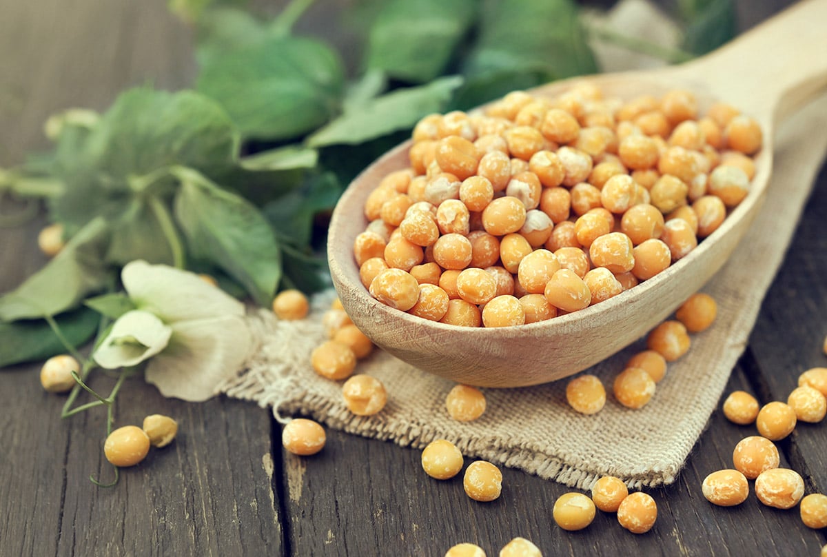 Pea Protein Benefits A Complete Guide to This PlantBased Supplement
