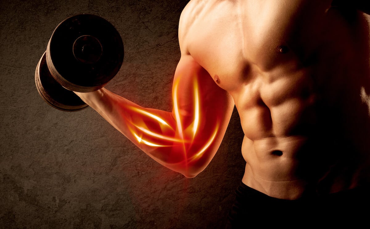 How Long Does It Take to Build Muscle? Understanding Your Gains