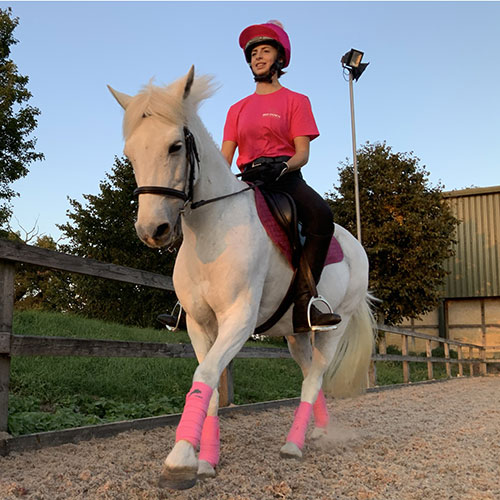 Absorb Horse Bedding BedDown Equine Bedding