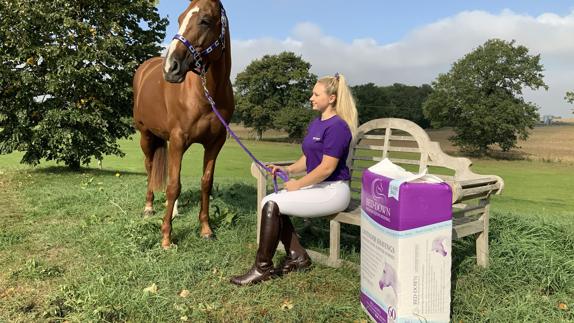 Brand Ambassador Programme Terms BedDown Equine Bedding