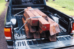 Truck Tie Downs | BedBolts