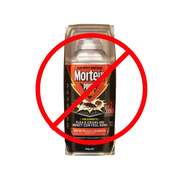 Bed Bug Bombs Waste Of Money For Bed Bug Infestation