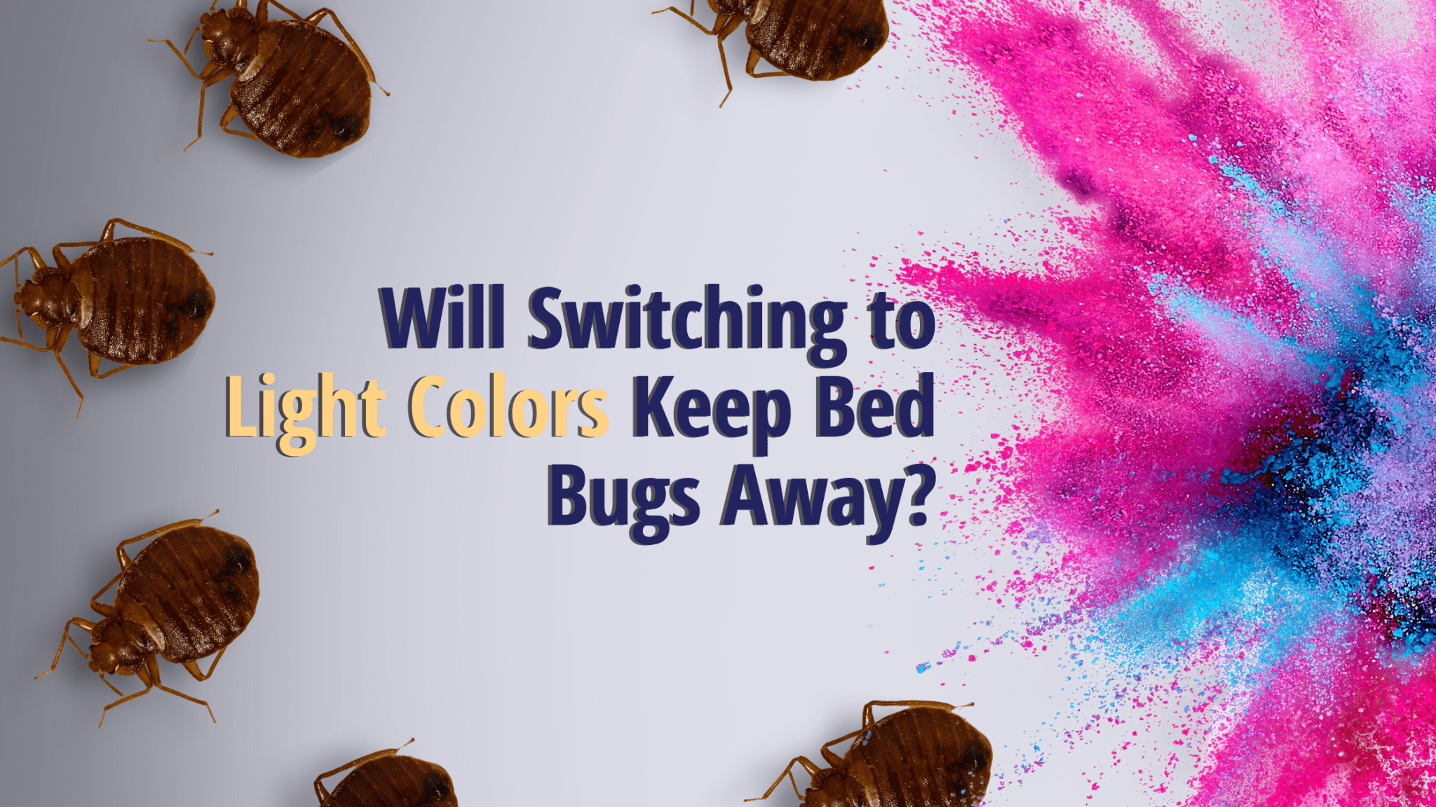 Can Light Colors Keep Bed Bugs Out? Bed Bug Barbeque