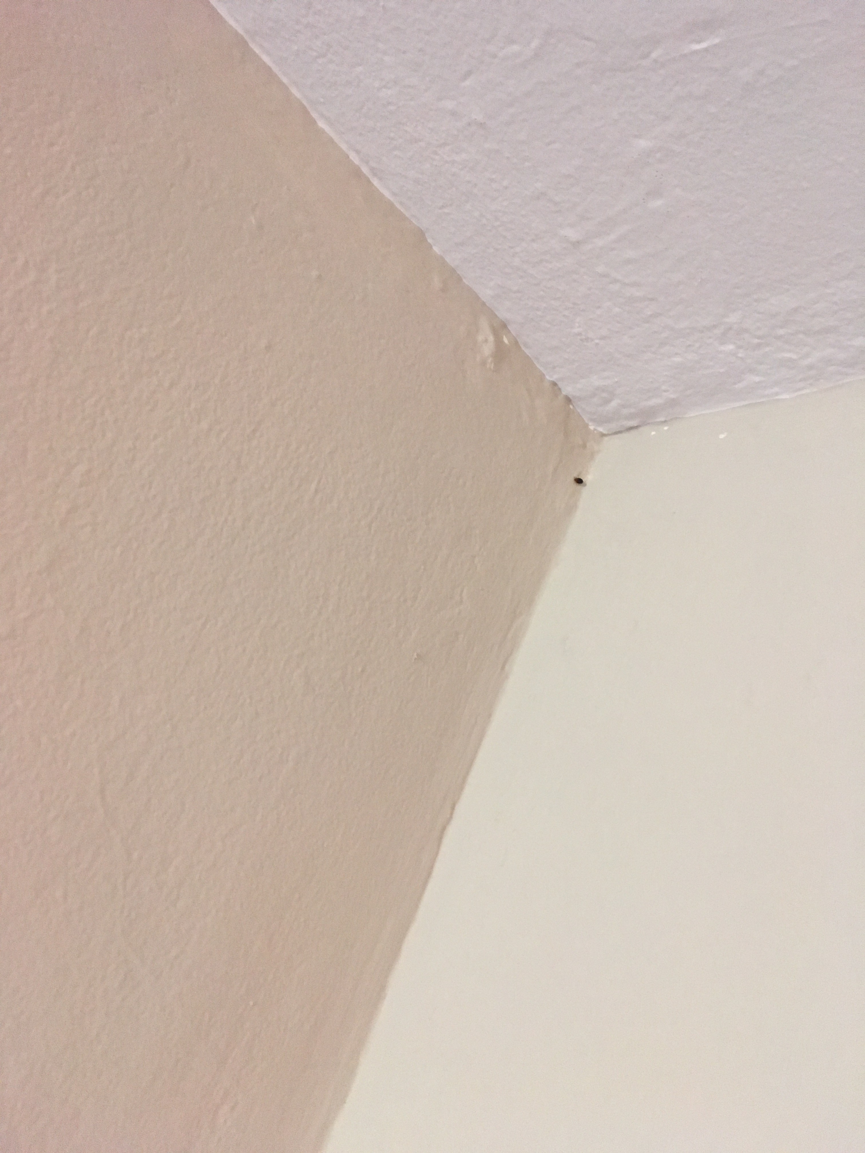 Chicago IL Bed bug Hotel and Apartment Reports