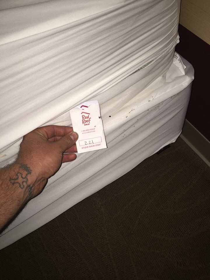 London KY Bed bug Hotel and Apartment Reports