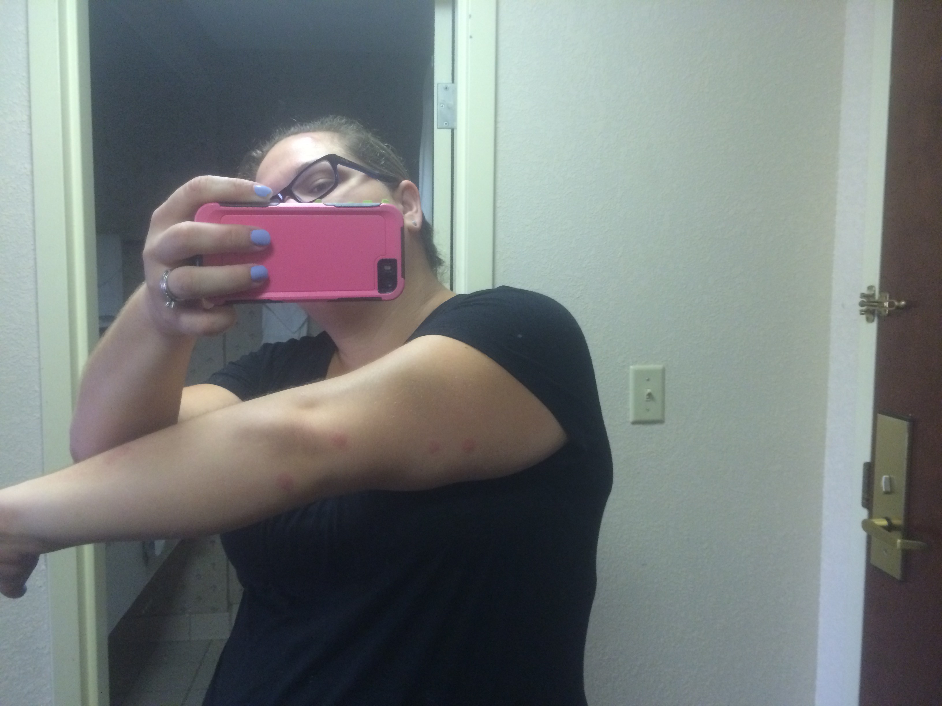 Virginia Bed Bug Hotel and Apartment Reports