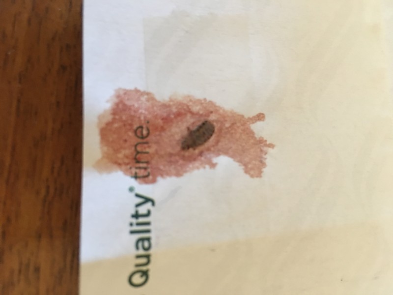 Utah Bed Bug Hotel and Apartment Reports