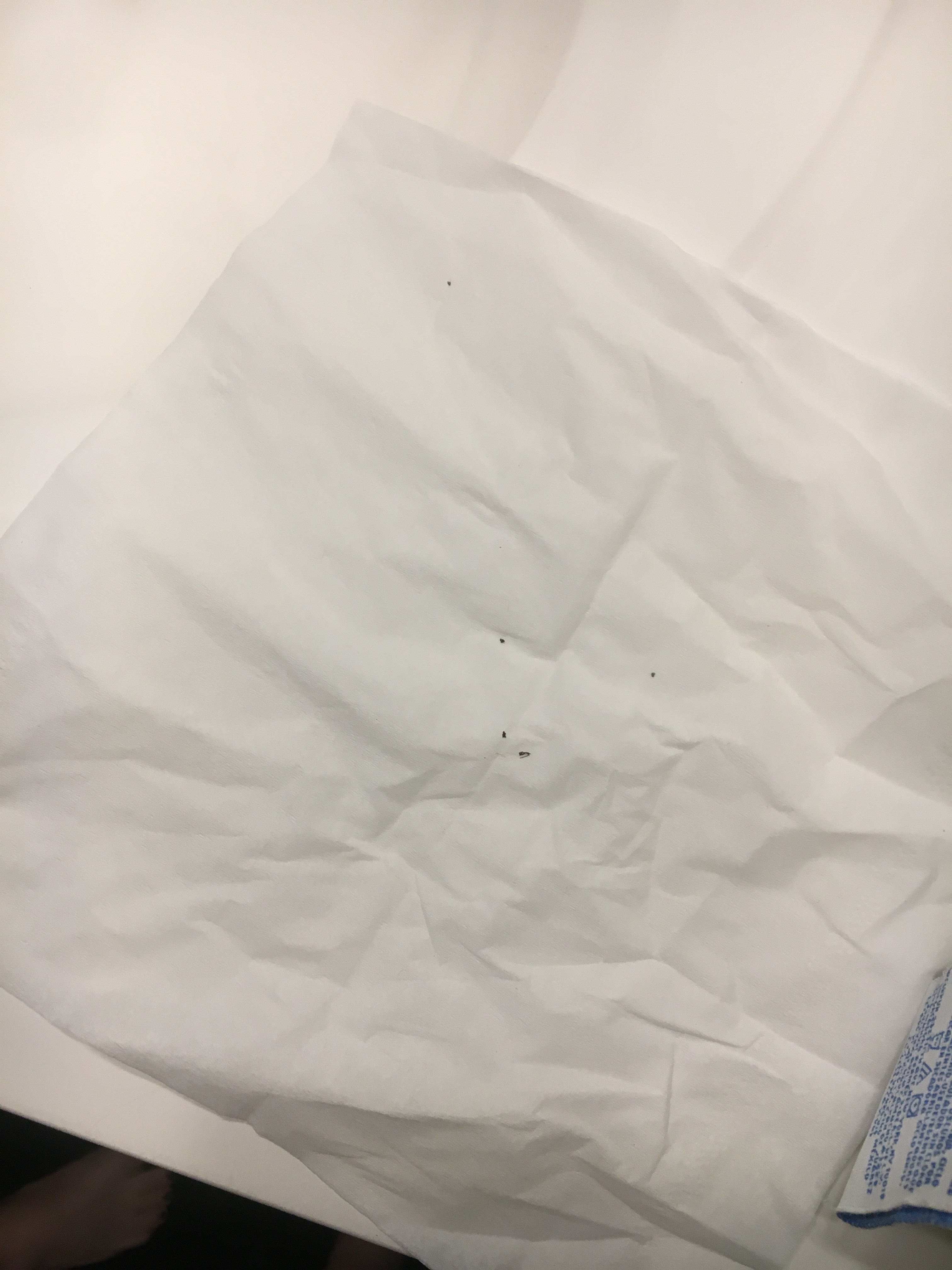 Tennessee Bed Bug Hotel and Apartment Reports