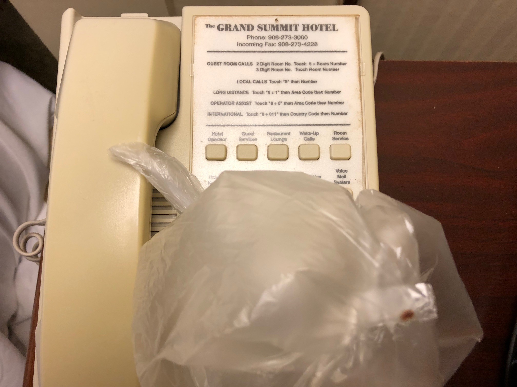 Bed Bug Reports Check Hotels and Apartments Before You Stay