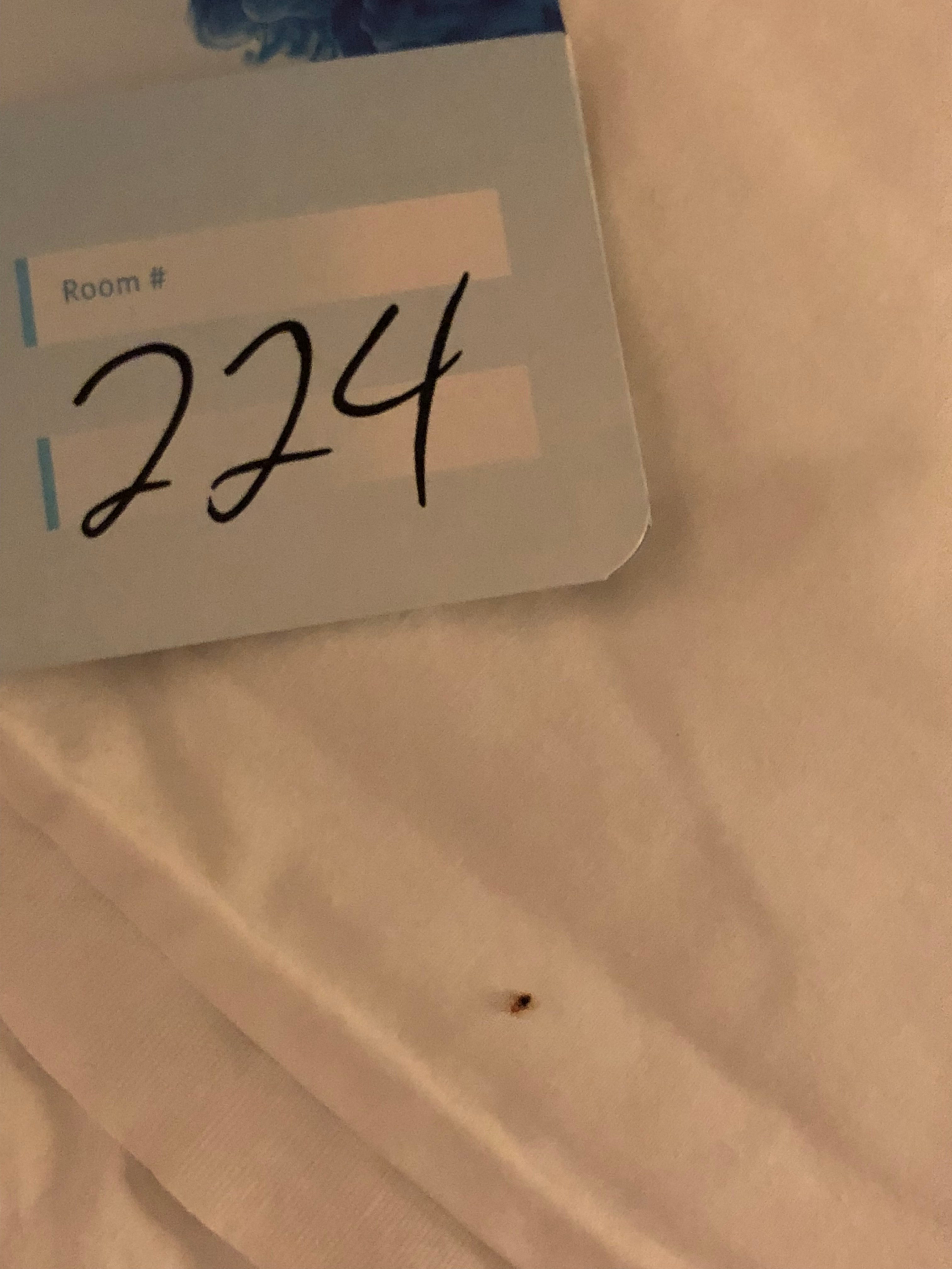 Michigan Bed Bug Hotel and Apartment Reports