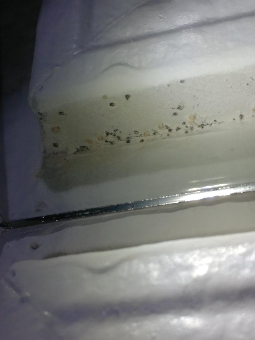 Bed Bug Reports Check Hotels and Apartments Before You Stay