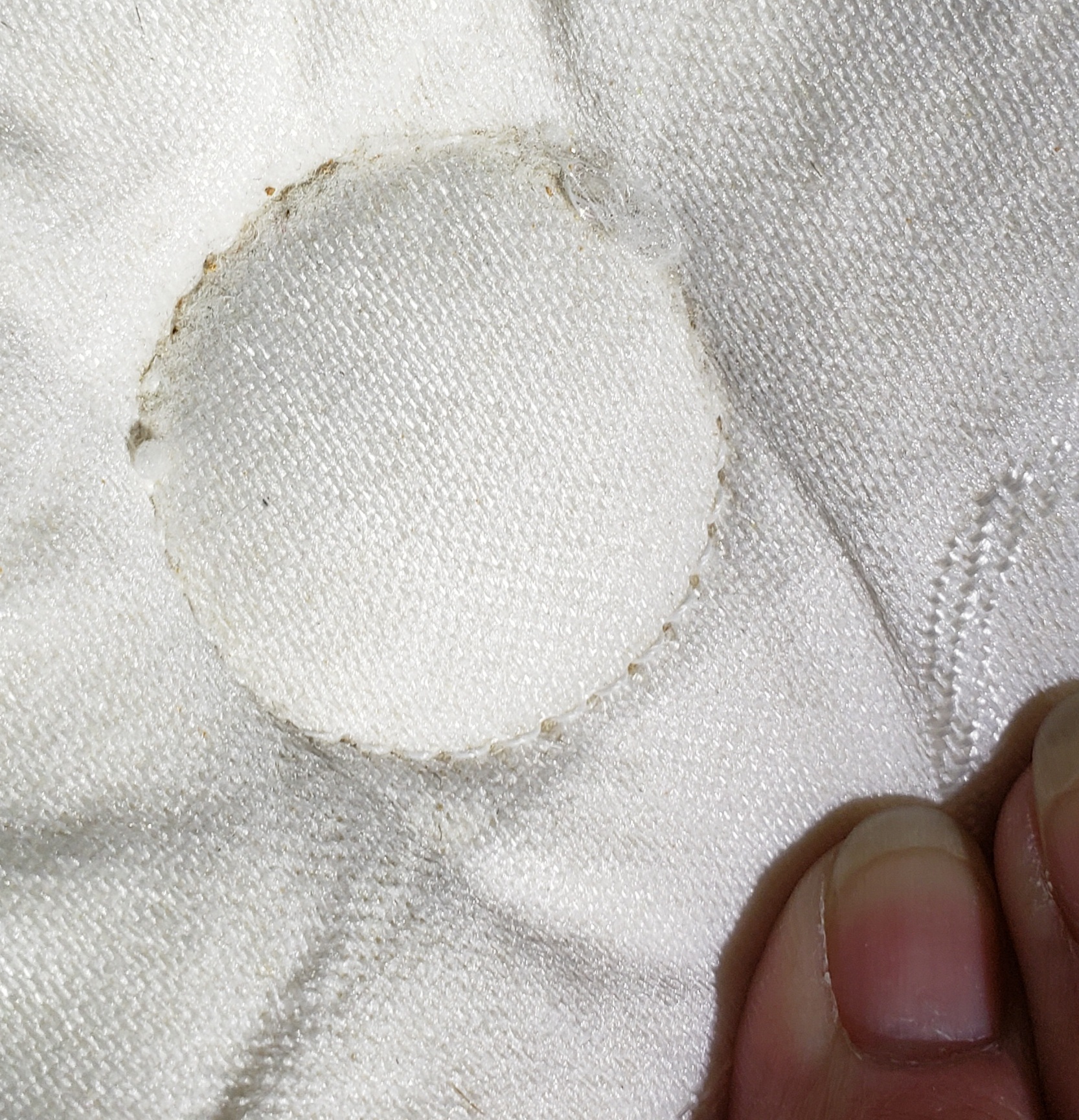 Bed Bug Reports Check Hotels and Apartments Before You Stay