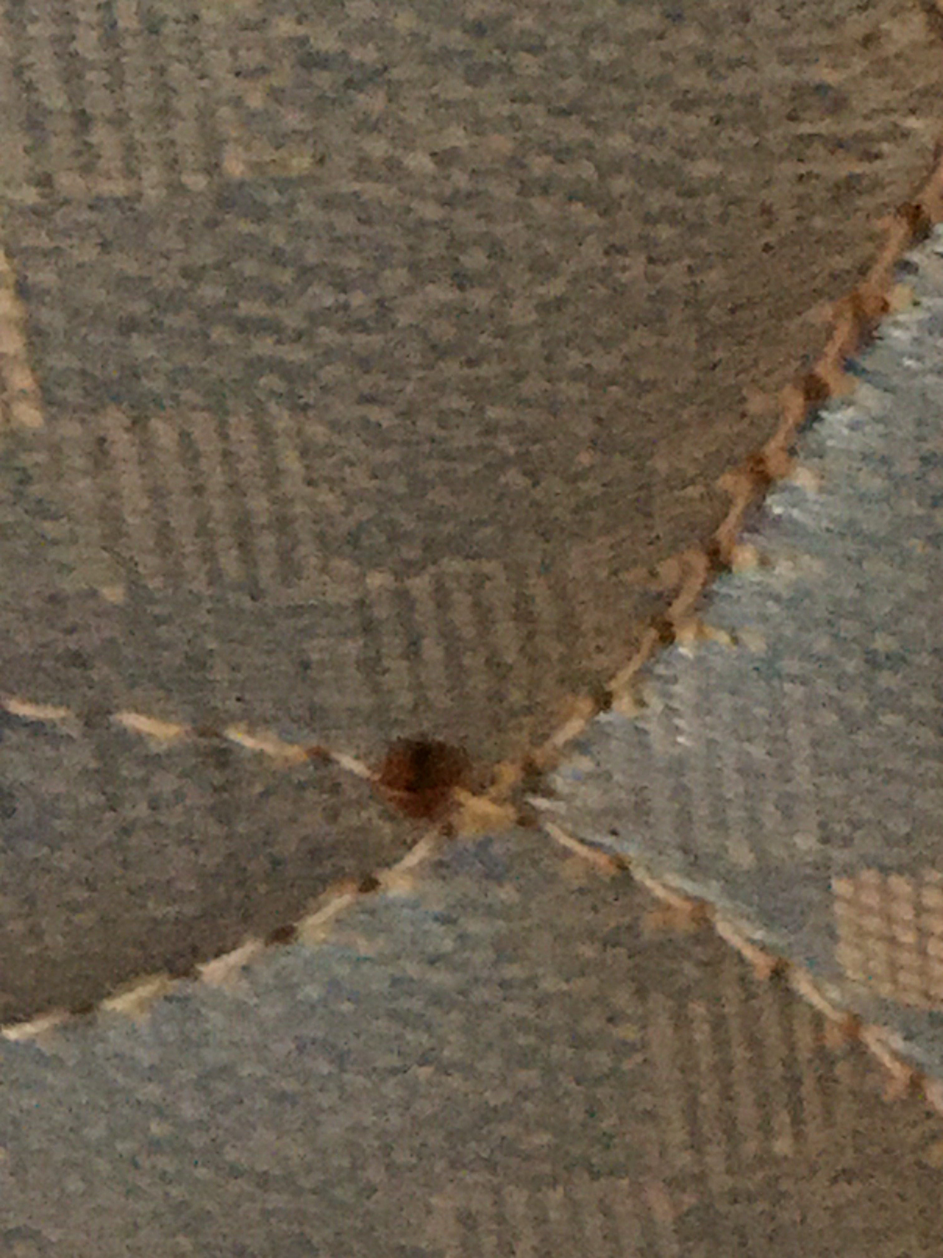 Bed Bug Reports Check Hotels and Apartments Before You Stay