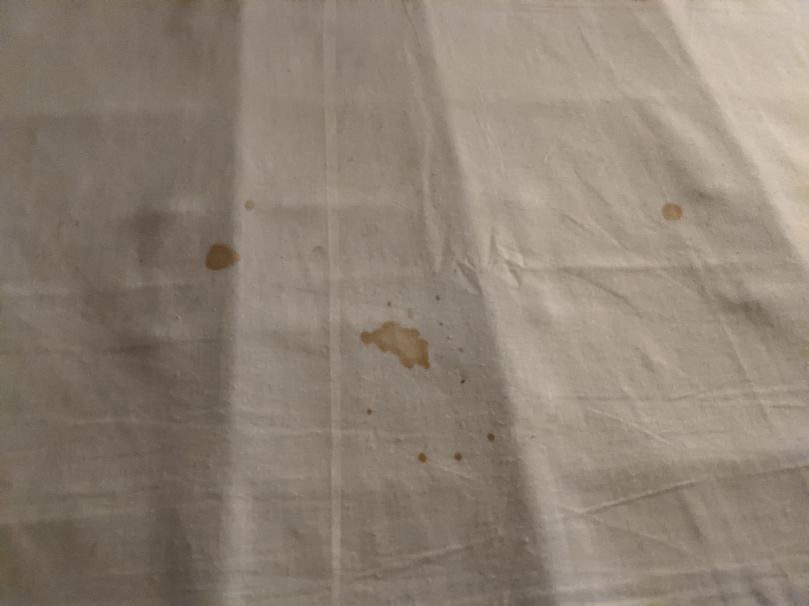 Bed Bug Reports Check Hotels and Apartments Before You Stay