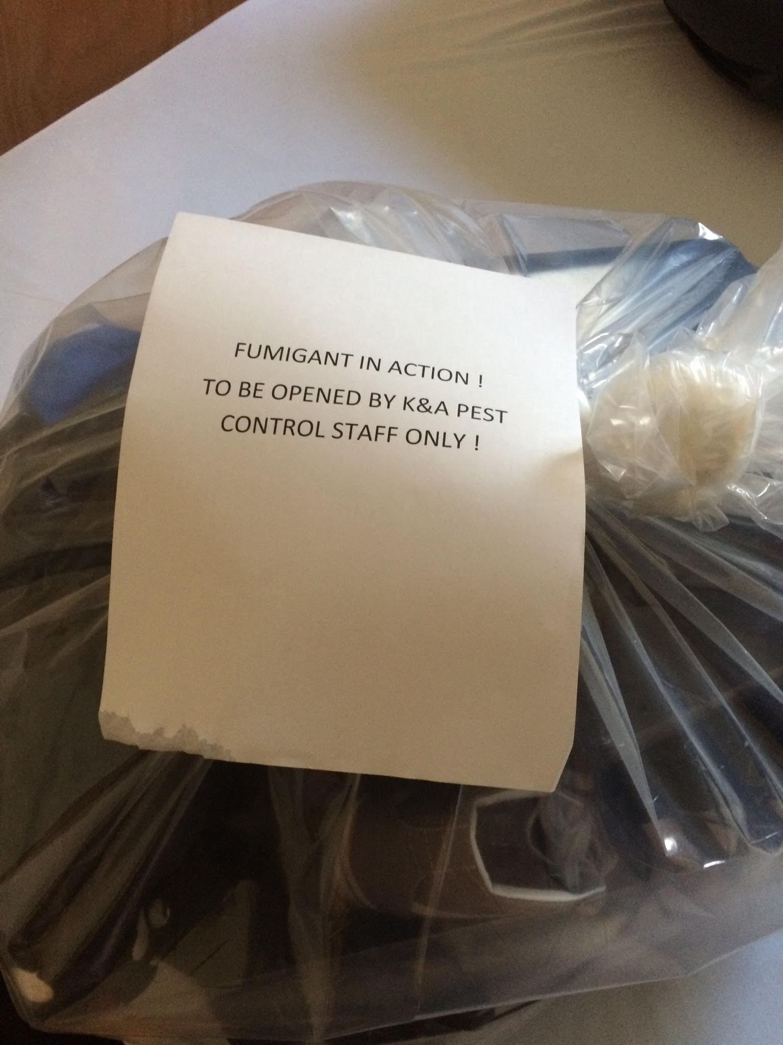 Bed Bug Removal RI Professional Bed Bug Exterminators Best Bed Bug